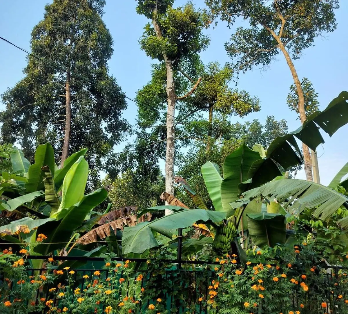 Thomaskuttys Farmhouse Homestay Ranni India