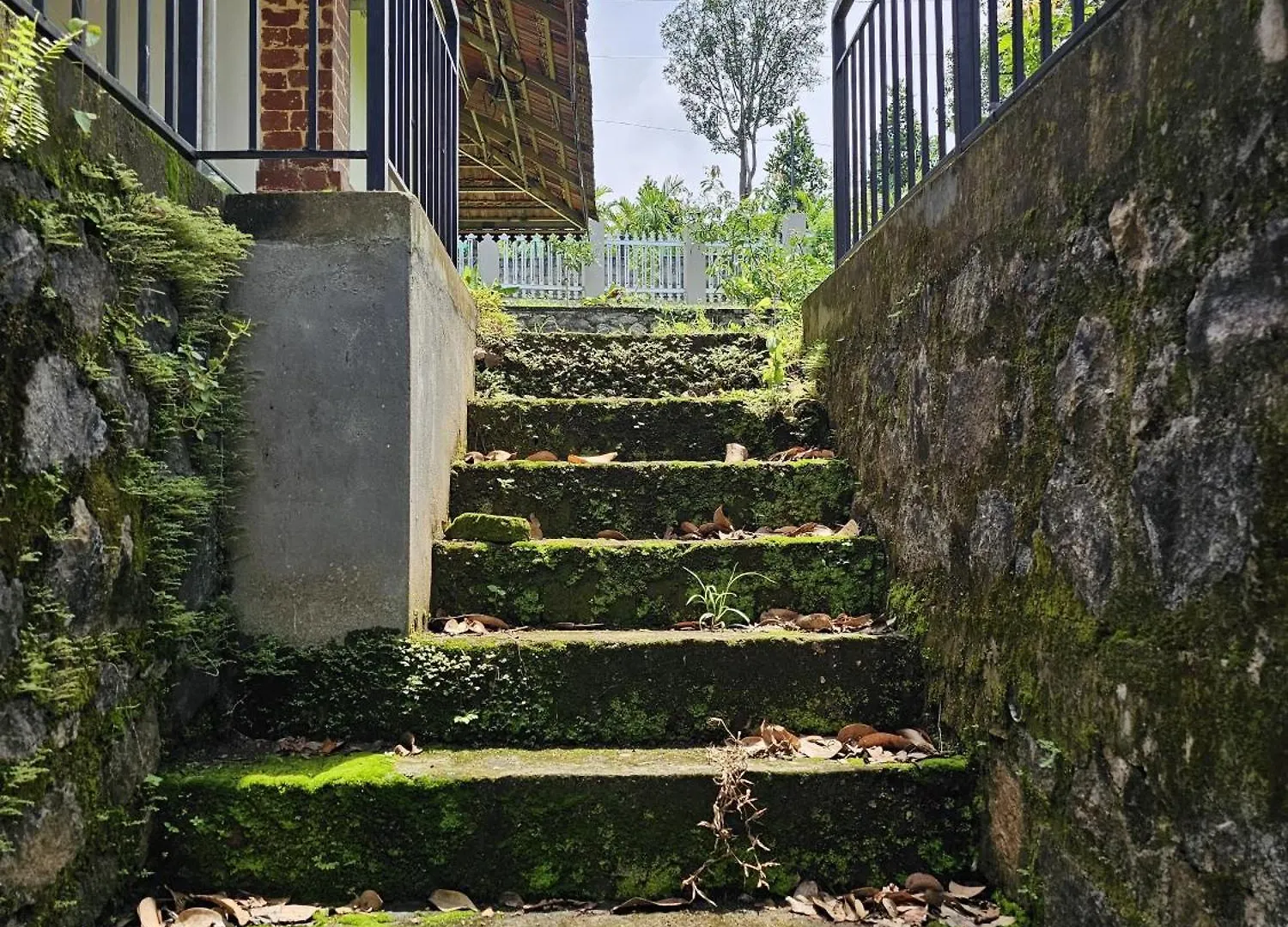 Thomaskuttys Farmhouse Homestay Ranni